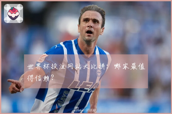 世界杯投注网站大比拼：哪家最值得信赖？
