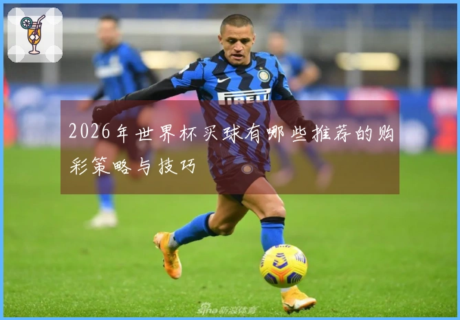 2026年世界杯买球有哪些推荐的购彩策略与技巧