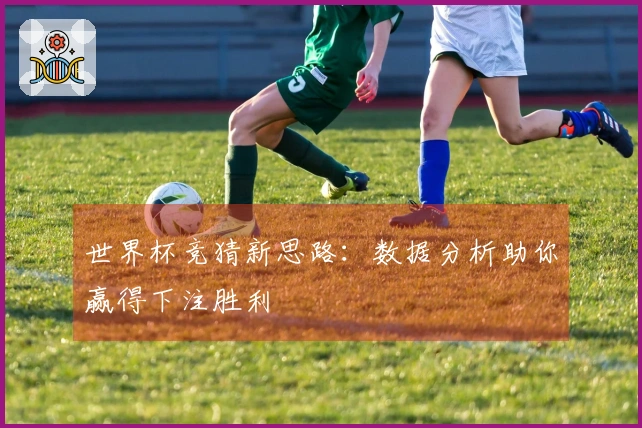 世界杯竞猜新思路：数据分析助你赢得下注胜利