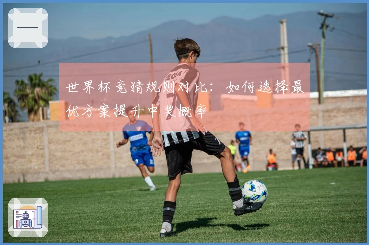 世界杯竞猜规则对比:如何选择最优方案提升中奖概率