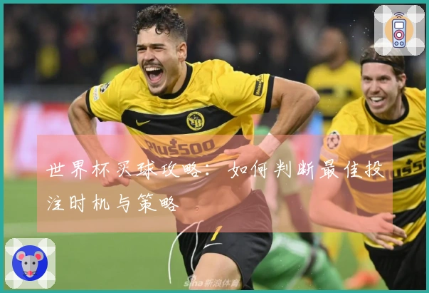 世界杯买球攻略:如何判断最佳投注时机与策略