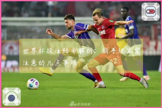 世界杯投注赔率解析：新手玩家需注意的几点事项