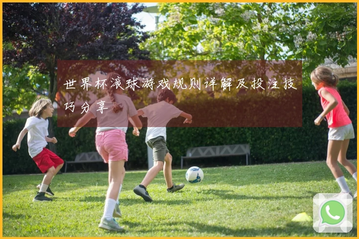 世界杯滚球游戏规则详解及投注技巧分享