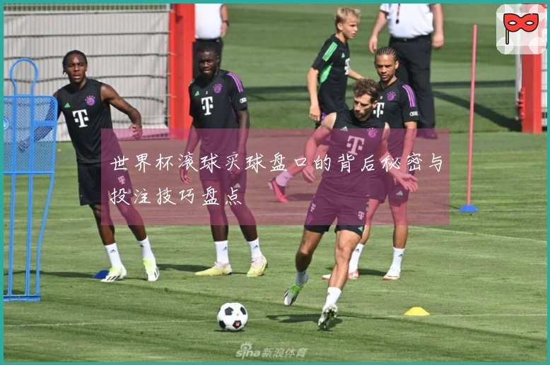 世界杯滚球买球盘口的背后秘密与投注技巧盘点