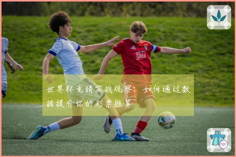 世界杯竞猜实战观察：如何通过数据提升你的彩票胜算
