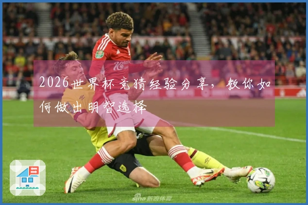 2026世界杯竞猜经验分享，教你如何做出明智选择