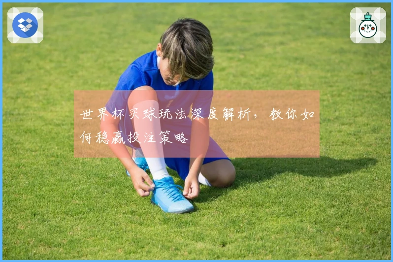 世界杯买球玩法深度解析,教你如何稳赢投注策略