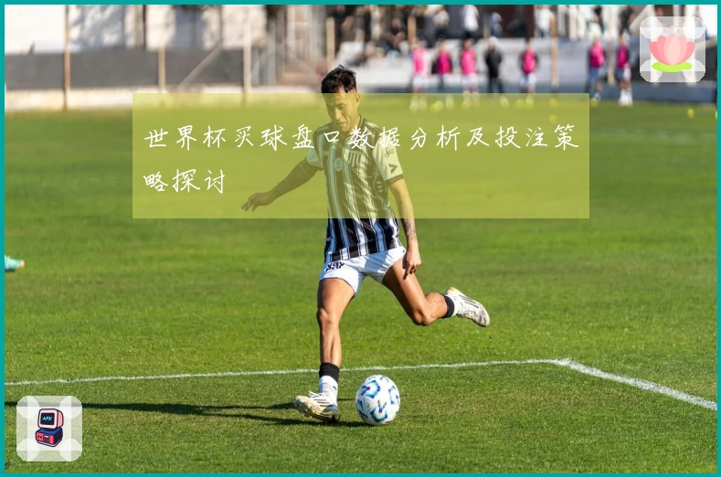 世界杯买球盘口数据分析及投注策略探讨
